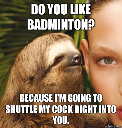 Do you like badminton? Because I'm going to shuttle my cock right into you.   rape sloth