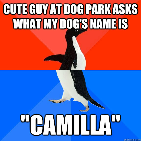 Cute guy at dog park asks what my dog's name is 