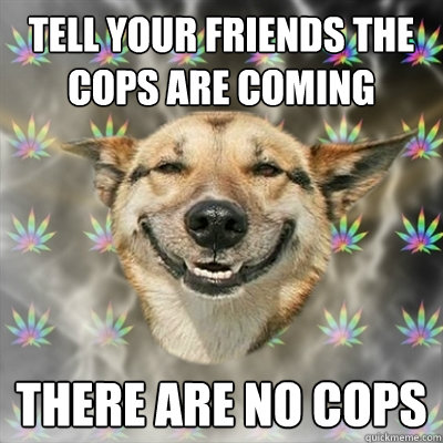 tell your friends the cops are coming there are no cops  Stoner Dog