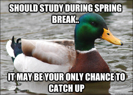 Should study during spring break.. it may be your only chance to catch up  Actual Advice Mallard