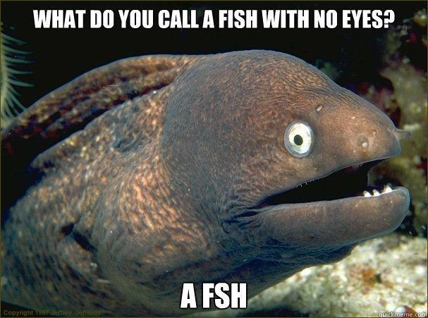 What do you call a fish with no eyes? A fsh  Bad Joke Eel