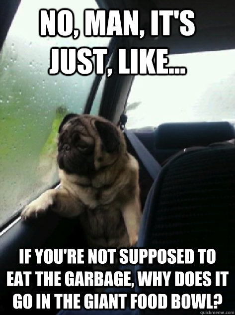 No, man, it's just, like... If you're not supposed to eat the garbage, why does it go in the giant food bowl?  Introspective Pug