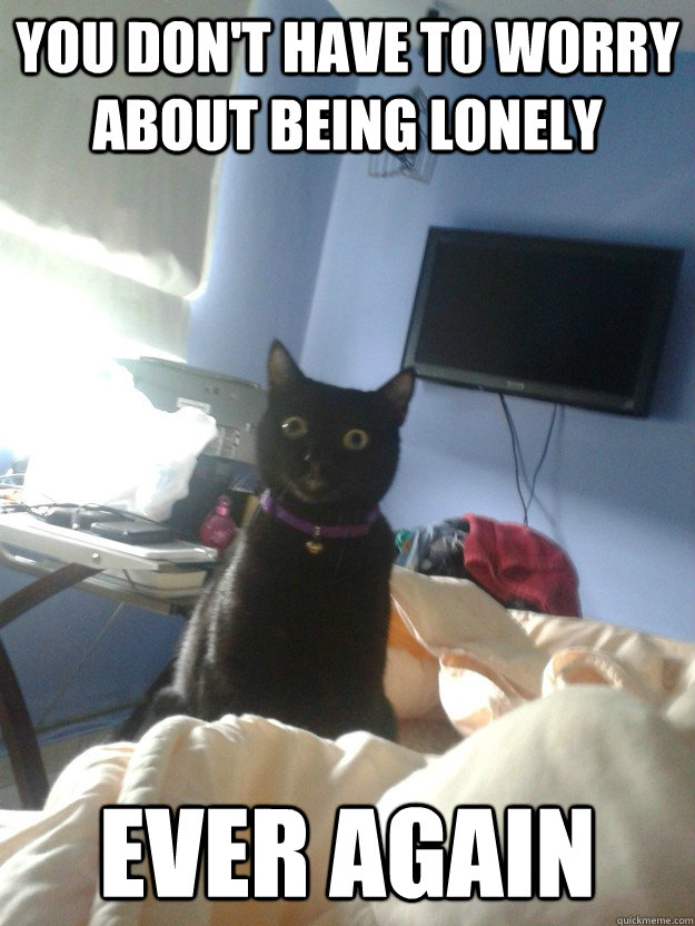 You don't have to worry about being lonely ever again  overly attached cat