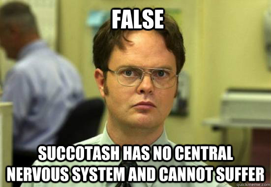  Succotash has no central nervous system and cannot suffer False  Dwight Shrutes Facts