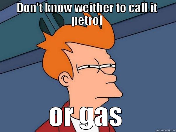 DON'T KNOW WEITHER TO CALL IT PETROL OR GAS Futurama Fry