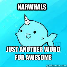 NARWHALS JUST ANOTHER WORD FOR AWESOME  NARWHAL