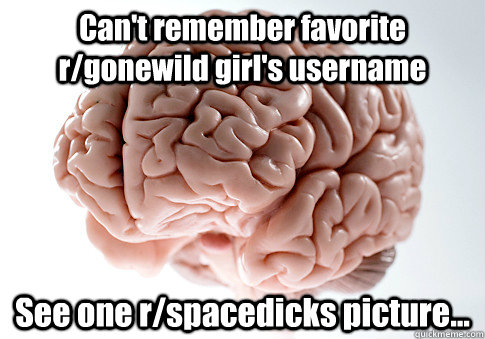 Can't remember favorite r/gonewild girl's username See one r/spacedicks picture...  Scumbag Brain