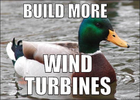       BUILD MORE           WIND TURBINES Actual Advice Mallard