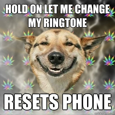 hold on let me change my ringtone resets phone  Stoner Dog