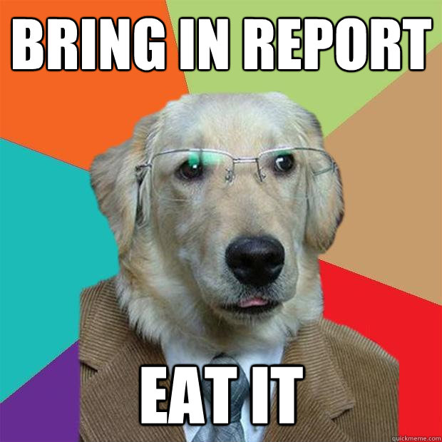 Bring in Report eat it  Business Dog