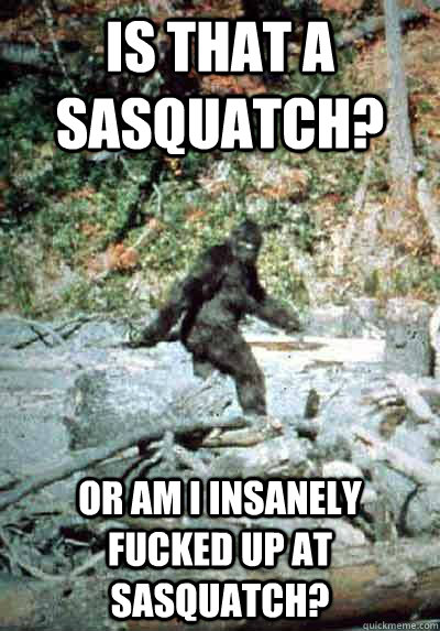Is that a  sasquatch? Or am i insanely fucked up AT sasquatch?  