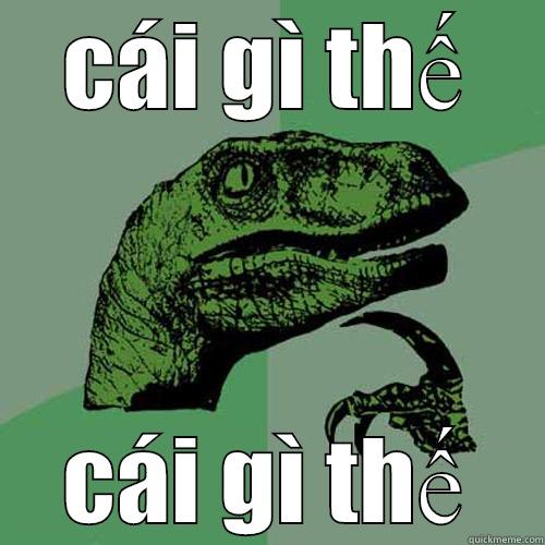 CÁI GÌ THẾ CÁI GÌ THẾ Philosoraptor