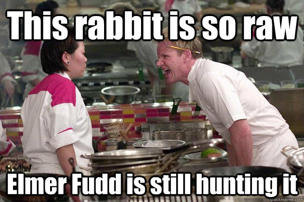 This rabbit is so raw Elmer Fudd is still hunting it - This rabbit is so raw Elmer Fudd is still hunting it  Misc