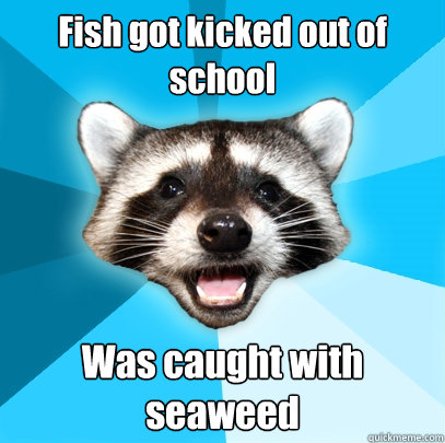 Fish got kicked out of school Was caught with seaweed  Lame Pun Coon