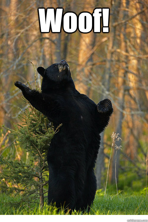 Woof!
  - Woof!
   Fabulous Bear