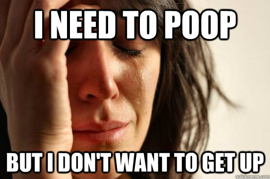 I need to poop But I don't want to get up  First World Problems