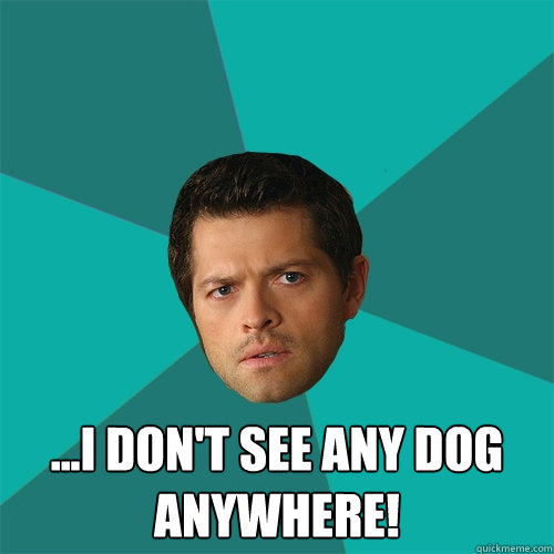  ...I don't see any dog anywhere! -  ...I don't see any dog anywhere!  Anti-Joke Castiel