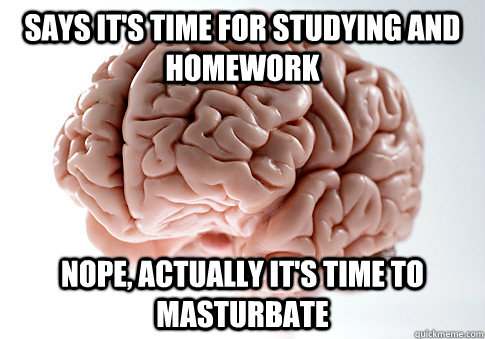 says it's time for studying and homework Nope, actually it's time to masturbate  Scumbag Brain