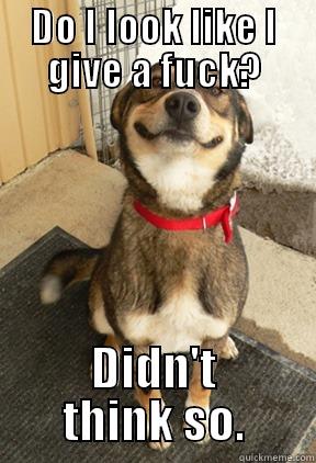 DO I LOOK LIKE I GIVE A FUCK? DIDN'T THINK SO. Good Dog Greg