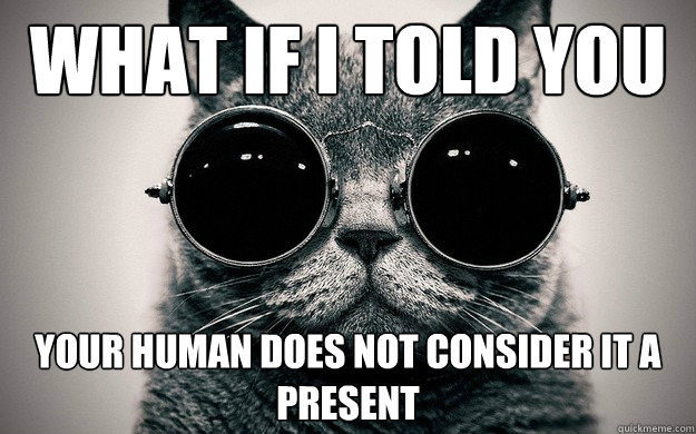 what if I told you your human does not consider it a present  Morpheus Cat Facts