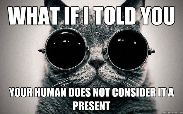 what if I told you your human does not consider it a present - what if I told you your human does not consider it a present  Morpheus Cat Facts