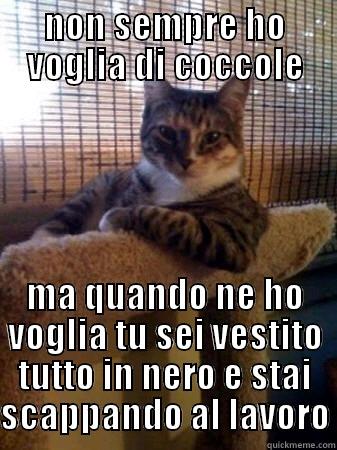 NON SEMPRE HO VOGLIA DI COCCOLE MA QUANDO NE HO VOGLIA TU SEI VESTITO TUTTO IN NERO E STAI SCAPPANDO AL LAVORO The Most Interesting Cat in the World
