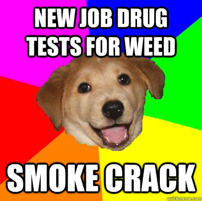 new job drug tests for weed smoke crack  Advice Dog