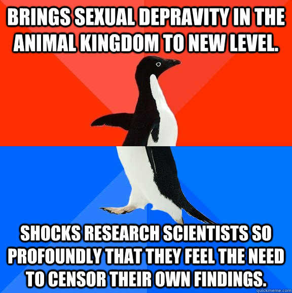 Brings sexual depravity in the animal kingdom to new level. Shocks Research scientists so profoundly that they feel the need to censor their own findings. - Brings sexual depravity in the animal kingdom to new level. Shocks Research scientists so profoundly that they feel the need to censor their own findings.  Socially Awesome Awkward Penguin