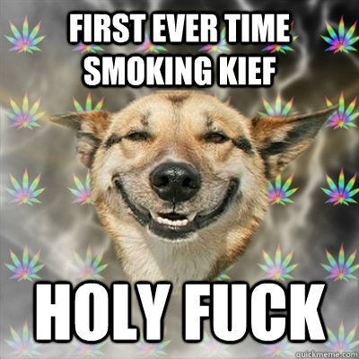 first ever time smoking kief holy fuck  Stoner Dog