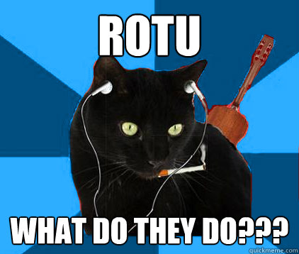 Rotu What do they do???  Socially Awkward Berklee Cat