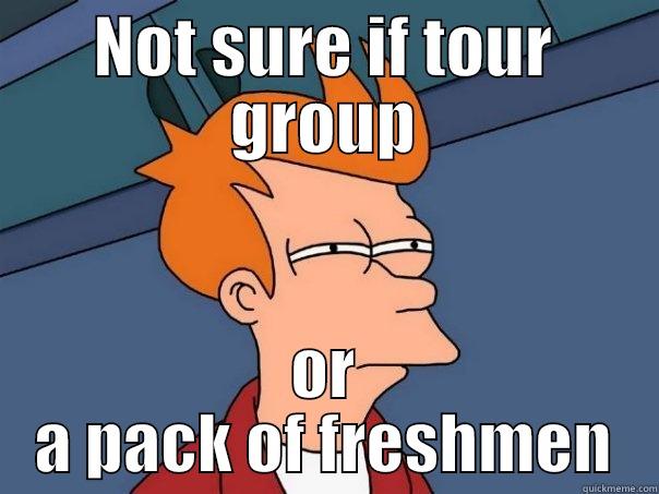 NOT SURE IF TOUR GROUP OR A PACK OF FRESHMEN Futurama Fry