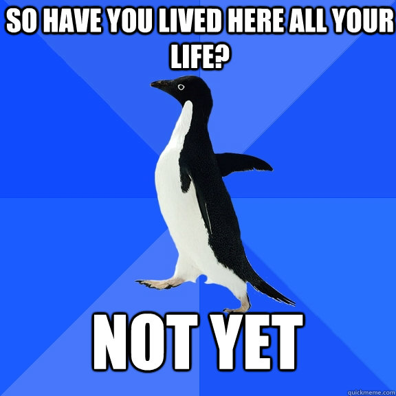 So have you lived here all your life? not yet  Socially Awkward Penguin