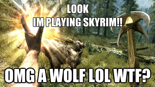 LOOK
IM PLAYING SKYRIM!! OMG A WOLF LOL WTF?  Skyrim Meme