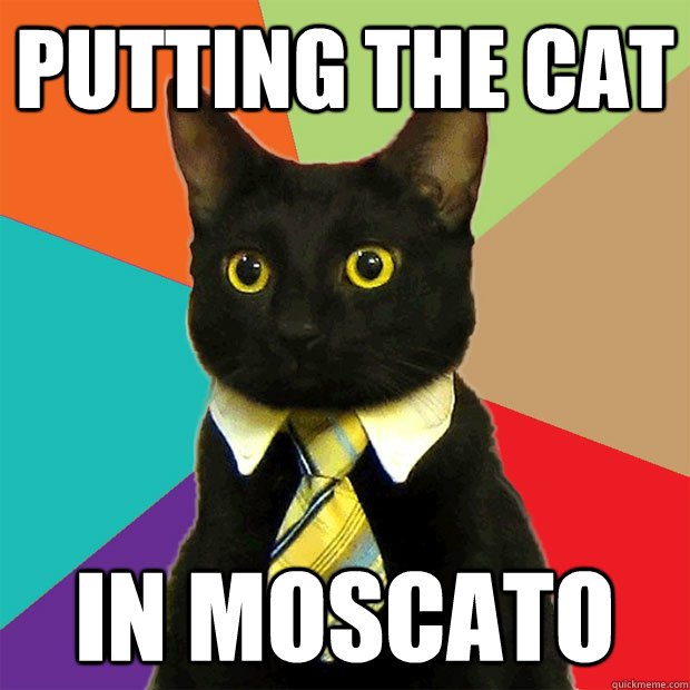 Putting the cat in moscato - Putting the cat in moscato  Business Cat