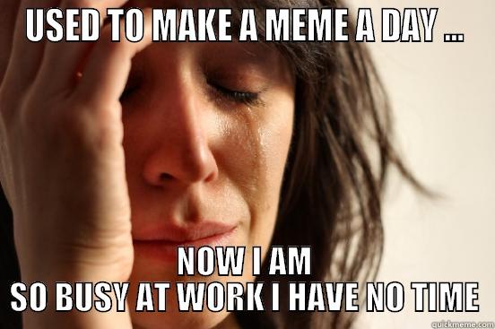 USED TO MAKE A MEME A DAY ... NOW I AM SO BUSY AT WORK I HAVE NO TIME First World Problems