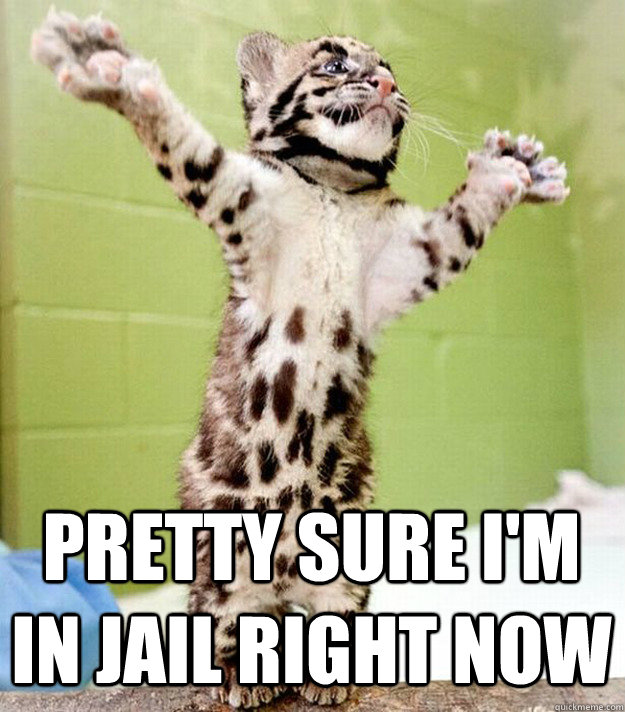 pretty sure I'm in jail right now - pretty sure I'm in jail right now  PastorCat