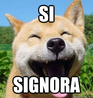 si signora  Happy dog