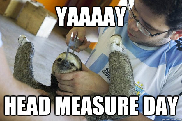 yaaaay head measure day - yaaaay head measure day  Misc
