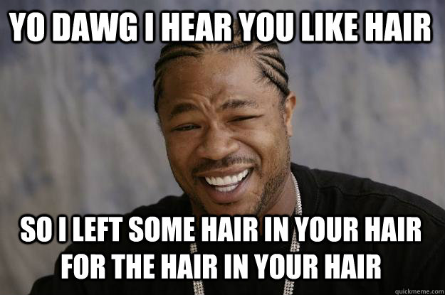 YO DAWG I HEAR YOU LIKE HAIR so I left some hair in your hair for the hair in your hair - YO DAWG I HEAR YOU LIKE HAIR so I left some hair in your hair for the hair in your hair  Xzibit meme