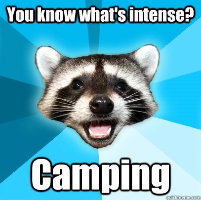 You know what's intense? Camping  Lame Pun Coon