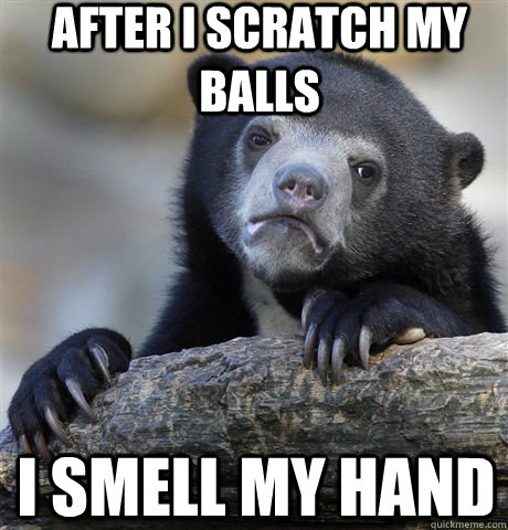 After I scratch my balls I smell my hand  Confession Bear