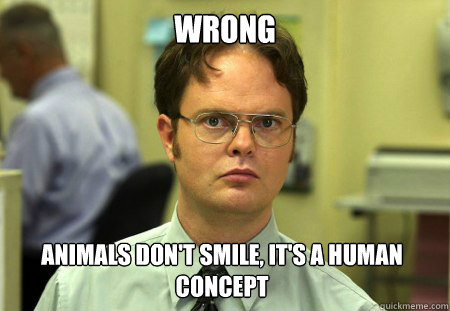 Wrong animals don't smile, it's a human concept  Dwight