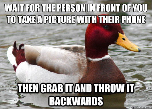 wait for the person in front of you to take a picture with their phone
 then grab it and throw it backwards  Malicious Advice Mallard