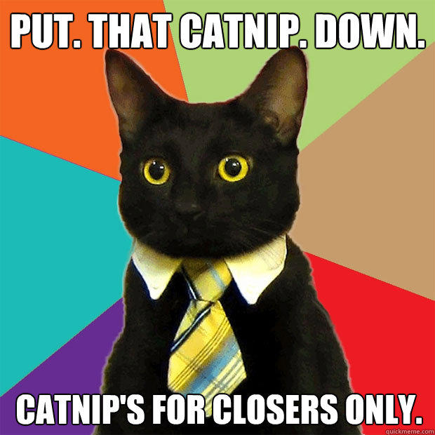 Put. That catnip. Down.  catnip's for closers only.   Business Cat