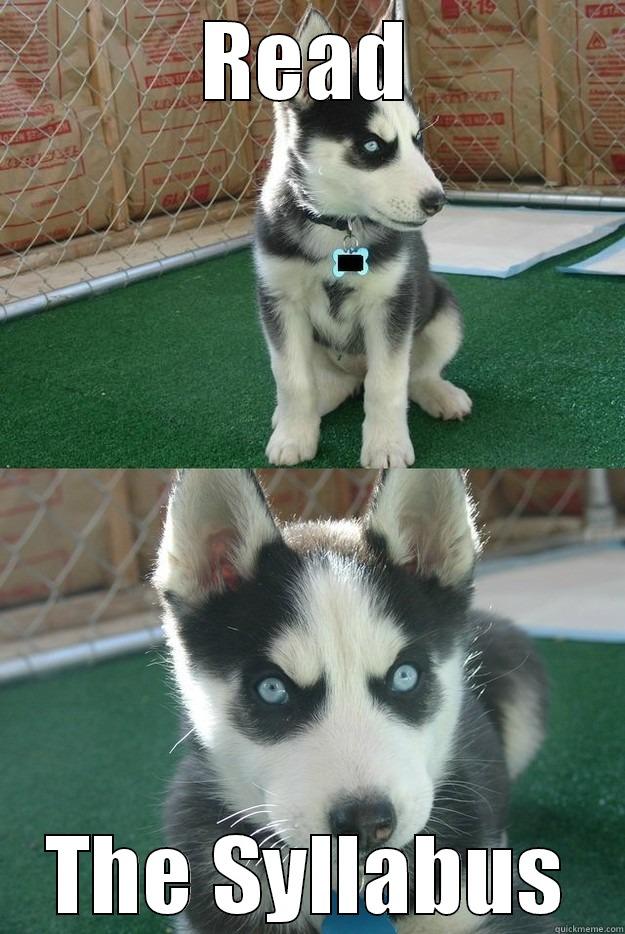 READ THE SYLLABUS Insanity puppy