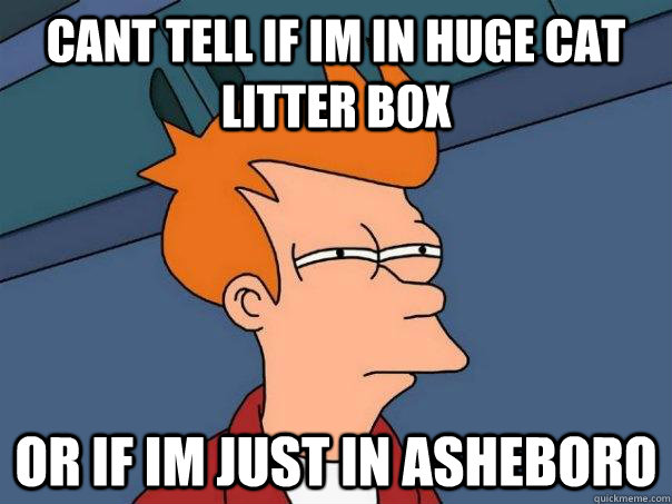 cant tell if im in huge cat litter box or if im just in asheboro  Futurama Fry