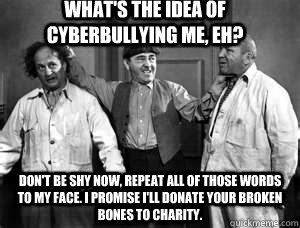 What's the idea of cyberbullying me, eh? Don't be shy now, repeat all of those words to my face. I promise I'll donate your broken bones to charity.   
