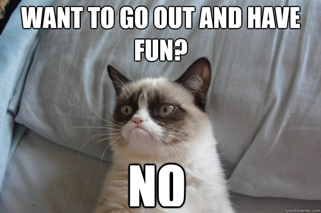 No Want to go out and have fun?  GrumpyCatOL