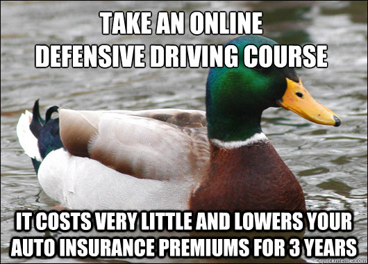take an online
defensive driving course it costs very little and lowers your auto insurance premiums for 3 years  Actual Advice Mallard