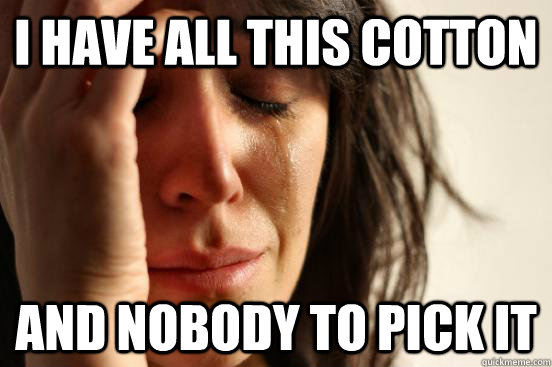 I have all this cotton and nobody to pick it  First World Problems